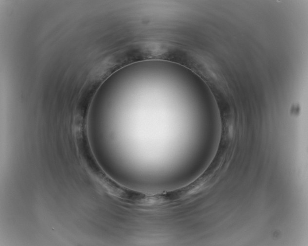 X0000091950274200709061247