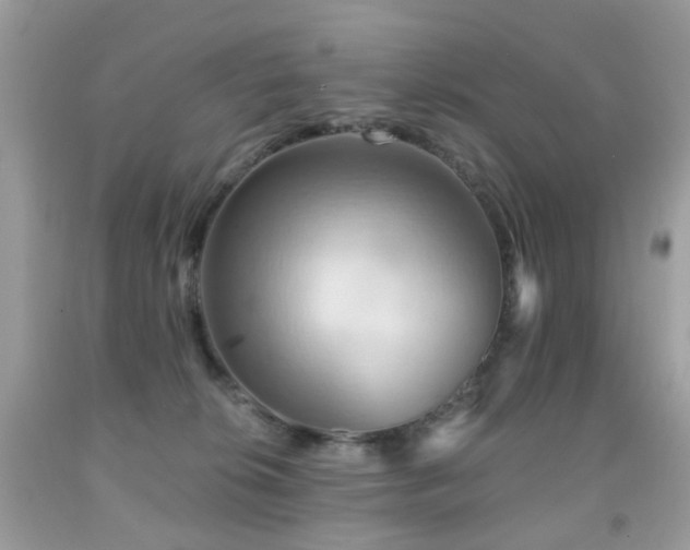 X0000091950276200709061247