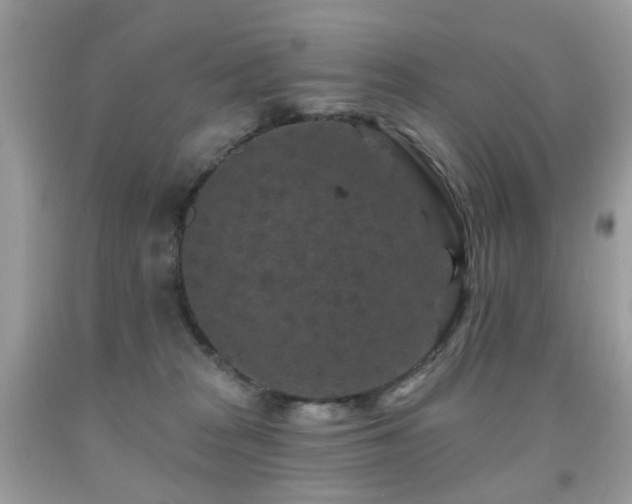 X0000091950277200709061247