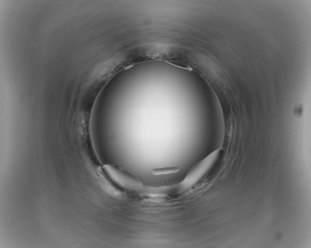 X0000091950280200709061247