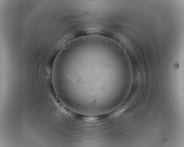 X0000091950281200709061247