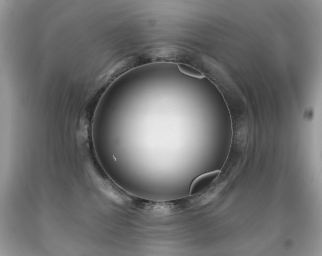 X0000091950282200709061247