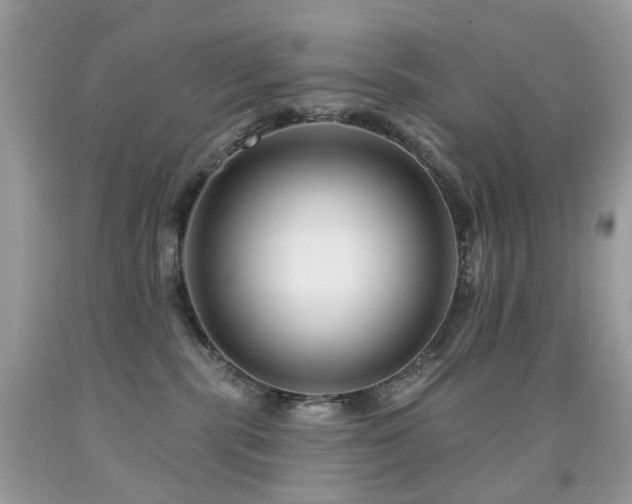 X0000091950283200709061247
