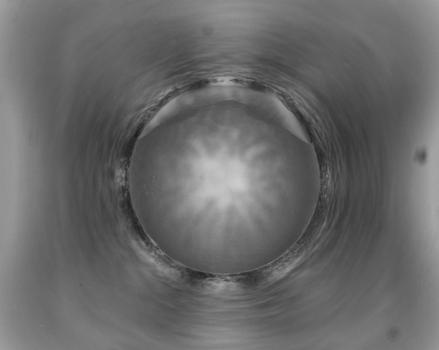 X0000091950284200709061247