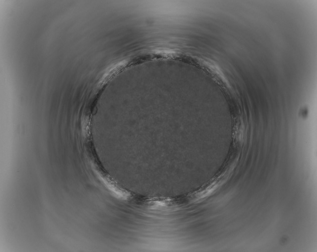 X0000091950285200709061247