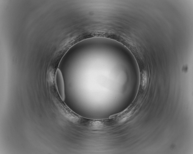 X0000091950287200709061247
