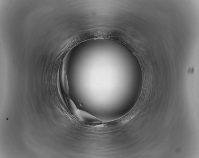 X0000091950288200709061247