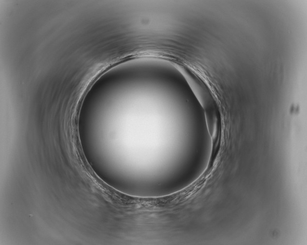 X0000091950289200709061246