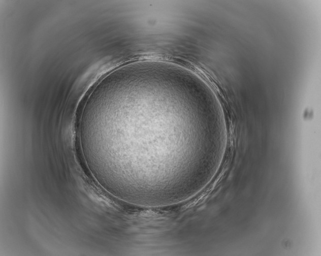 X0000091950290200709061246