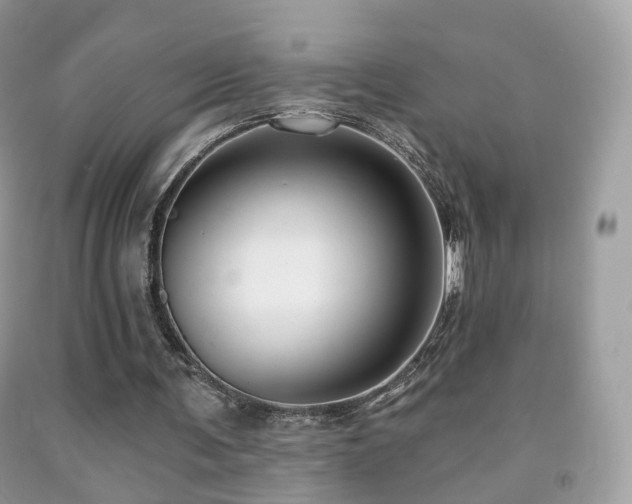 X0000091950291200709061246