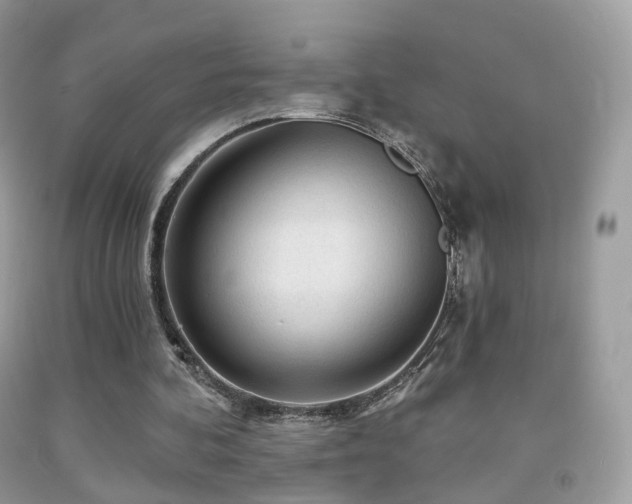 X0000091950292200709061246