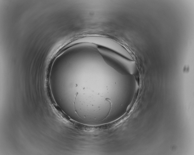 X0000091950293200709061246