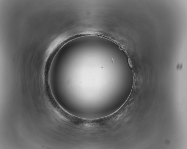 X0000091950296200709061246