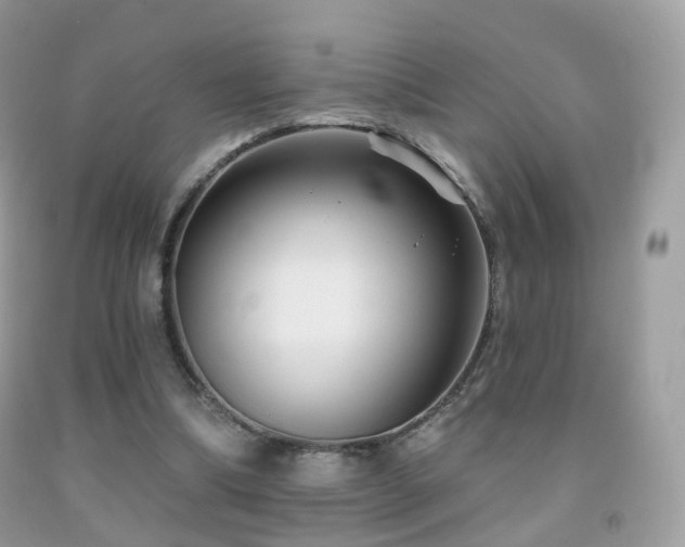 X0000091950298200709061246