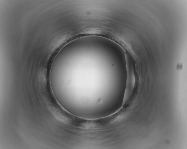X0000091950300200709061246