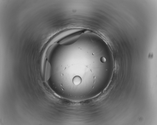 X0000091950301200709061246