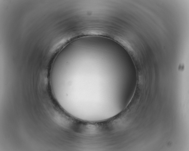 X0000091950302200709061246