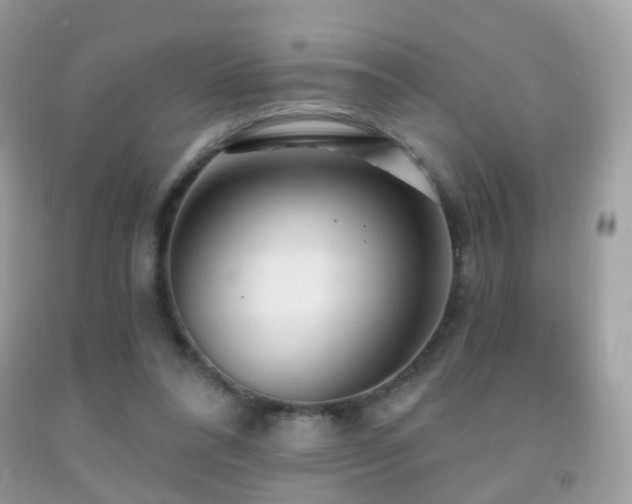 X0000091950304200709061246
