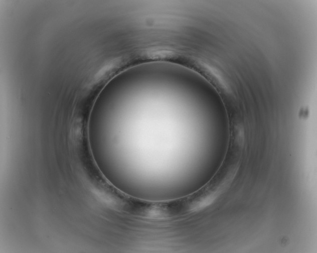 X0000091950308200709061246