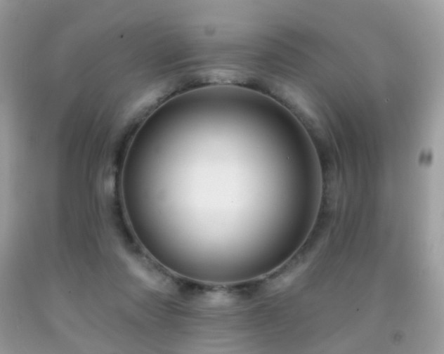 X0000091950310200709061246
