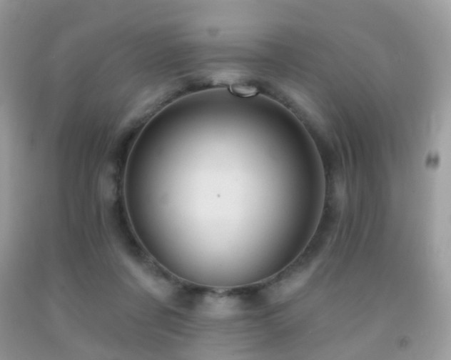 X0000091950311200709061246