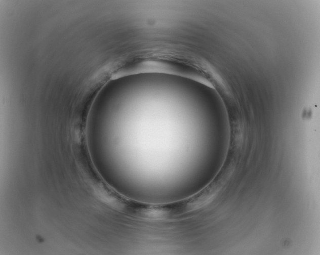 X0000091950313200709061246