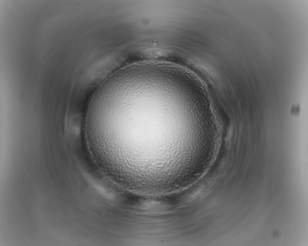 X0000091950315200709061246