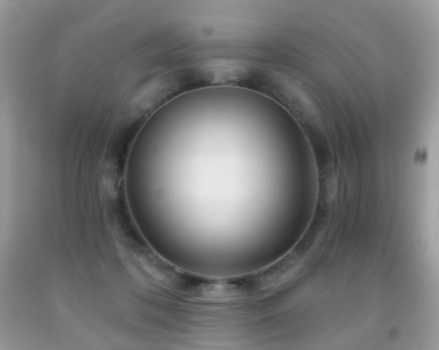 X0000091950316200709061246