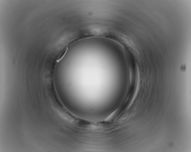 X0000091950317200709061246