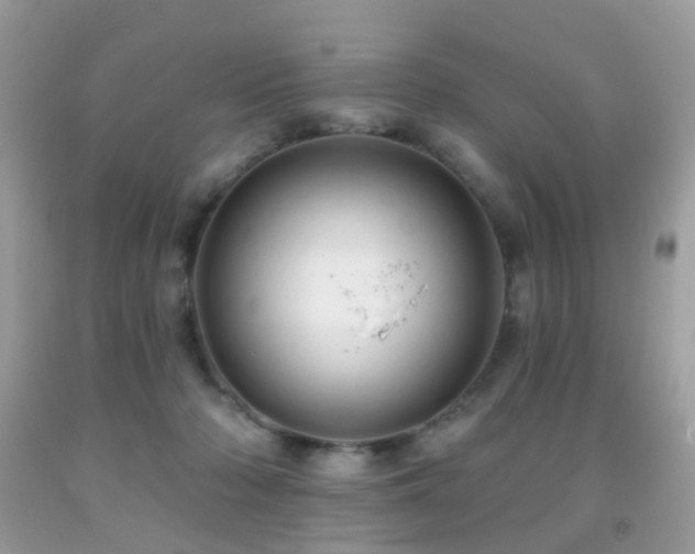 X0000091950318200709061246