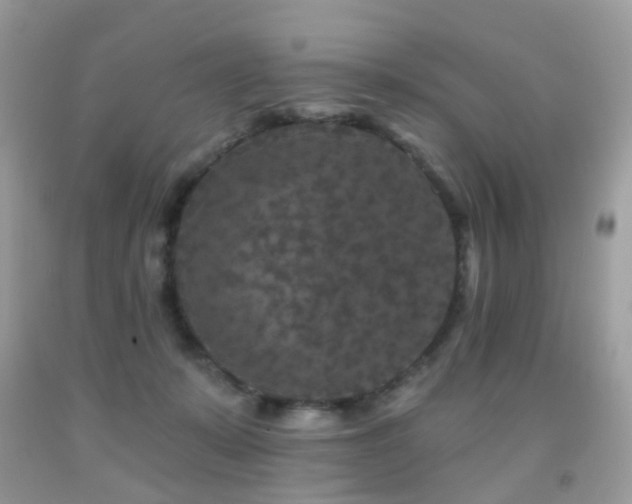 X0000091950319200709061246