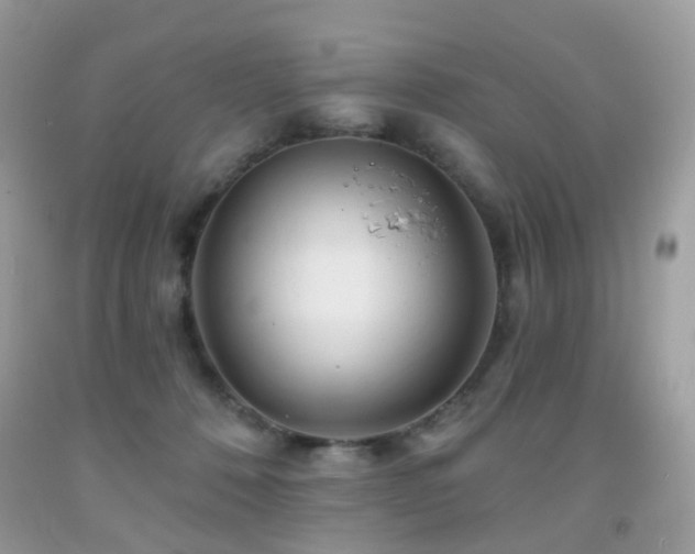 X0000091950320200709061246