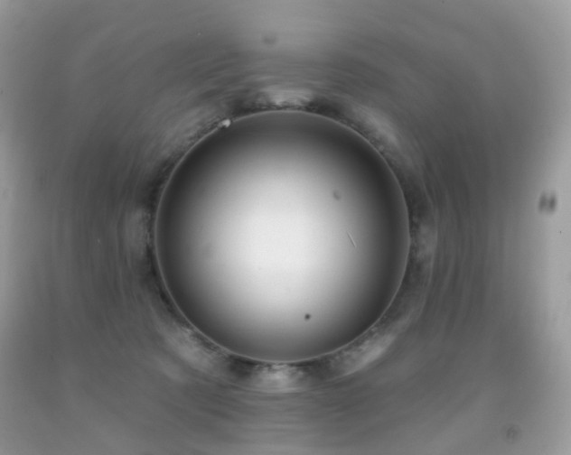 X0000091950321200709061246