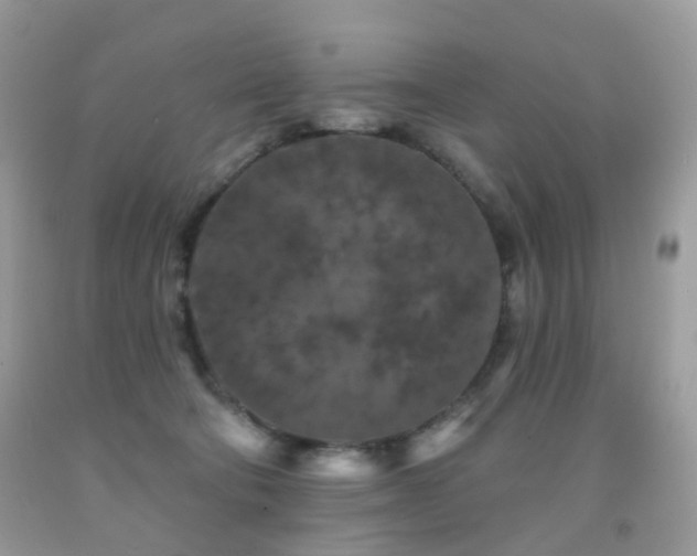 X0000091950322200709061246