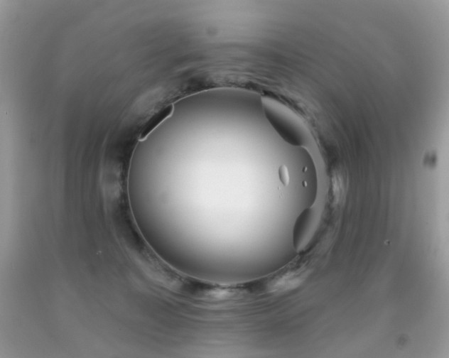 X0000091950323200709061246