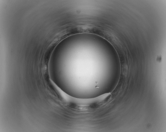 X0000091950324200709061246
