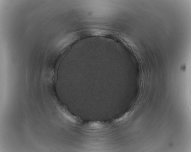 X0000091950325200709061246