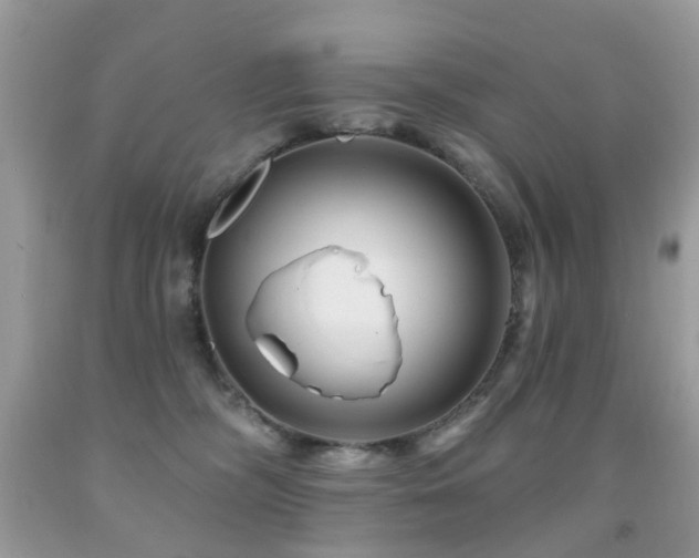 X0000091950326200709061246