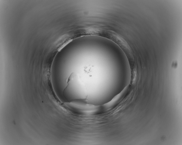 X0000091950329200709061245