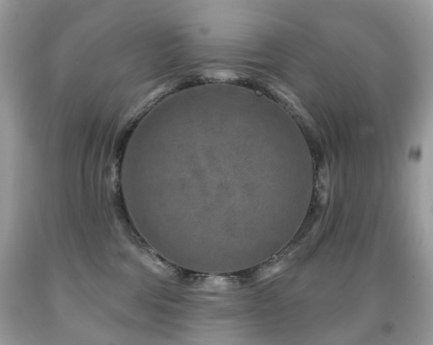 X0000091950330200709061245