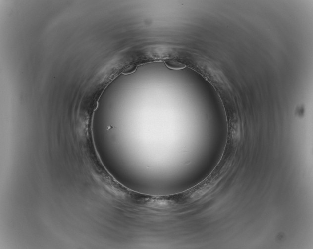 X0000091950332200709061245