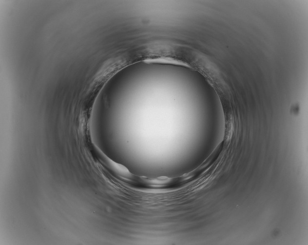 X0000091950333200709061245