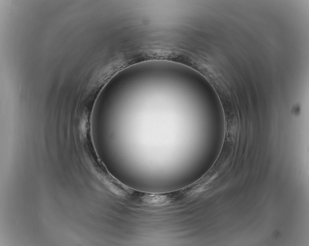 X0000091950334200709061245