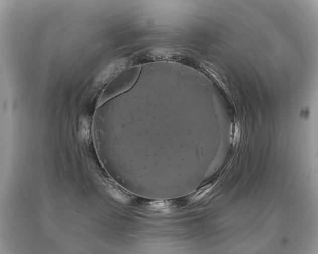X0000091950335200709061245