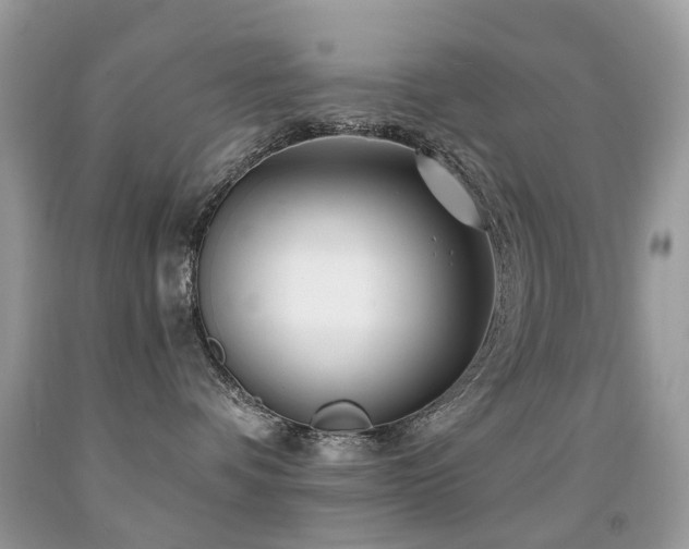 X0000091950336200709061245