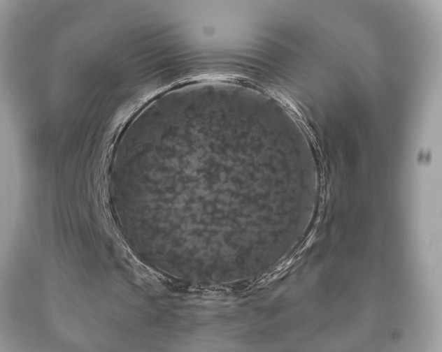 X0000091950337200709061245