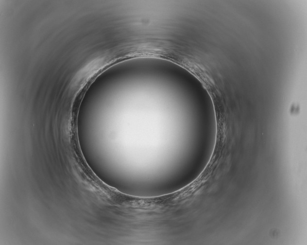 X0000091950338200709061245