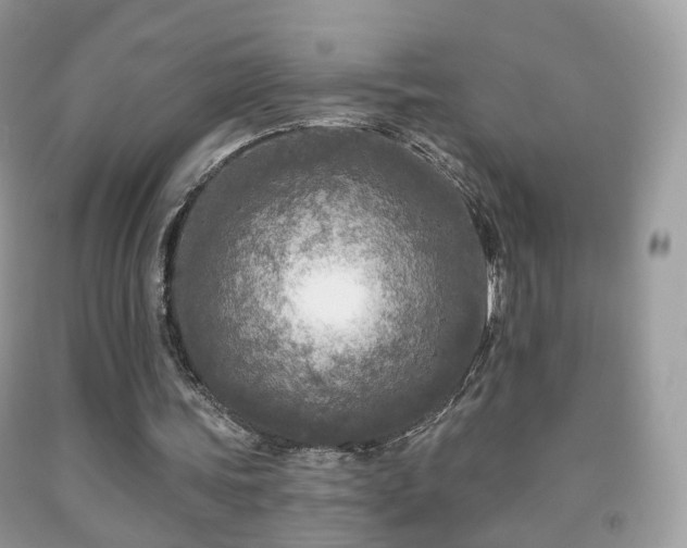 X0000091950339200709061245