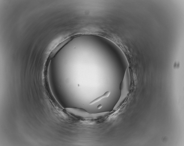 X0000091950340200709061245