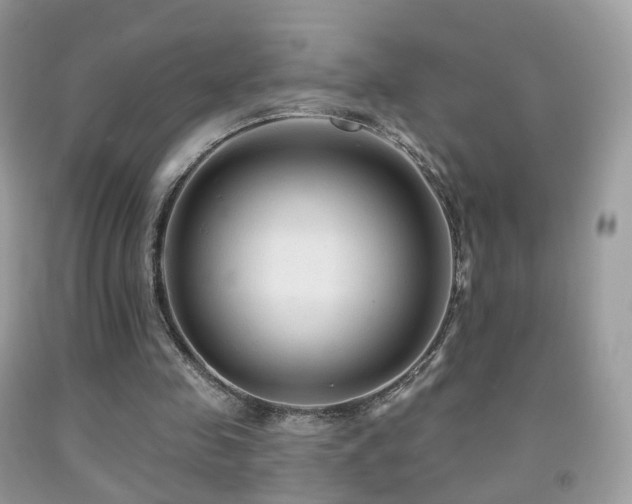 X0000091950341200709061245